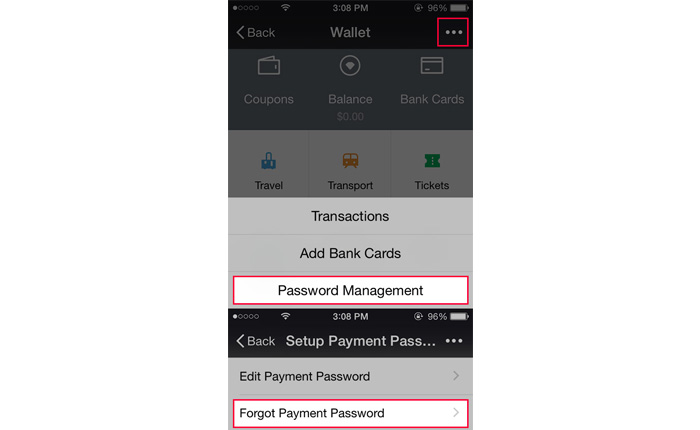 Select Forgot Payment Password